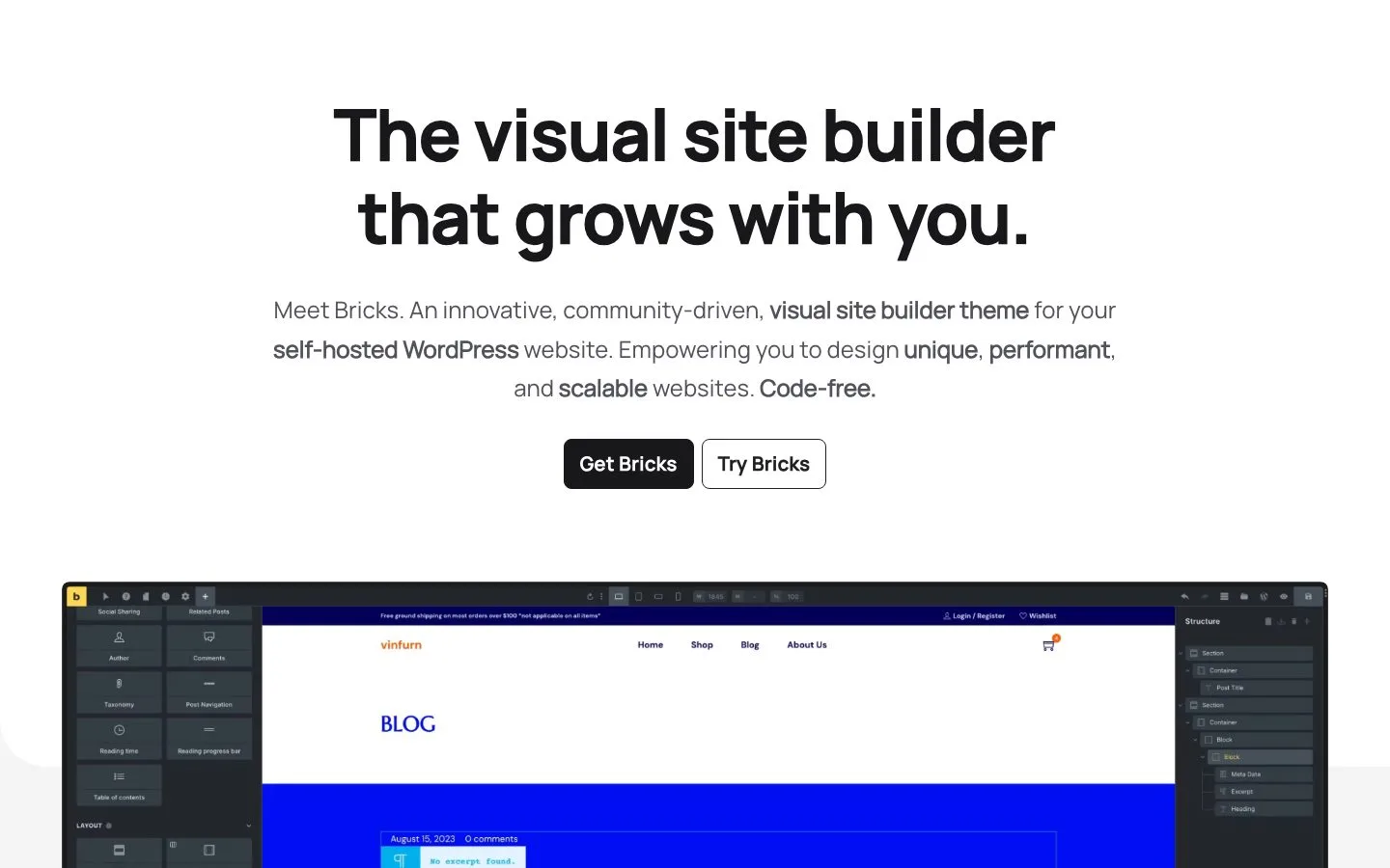 Bricks official website screenshot
